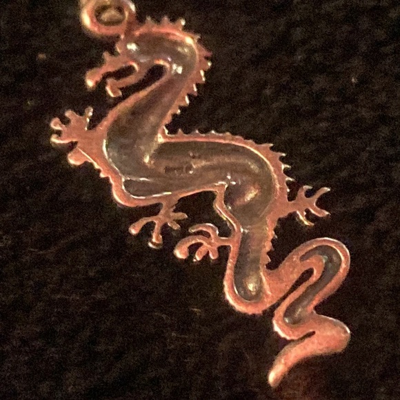 Neon Riot double dragon🐉pants 2XL+925 Italy🐲necklace 16” - Picture 14 of 15